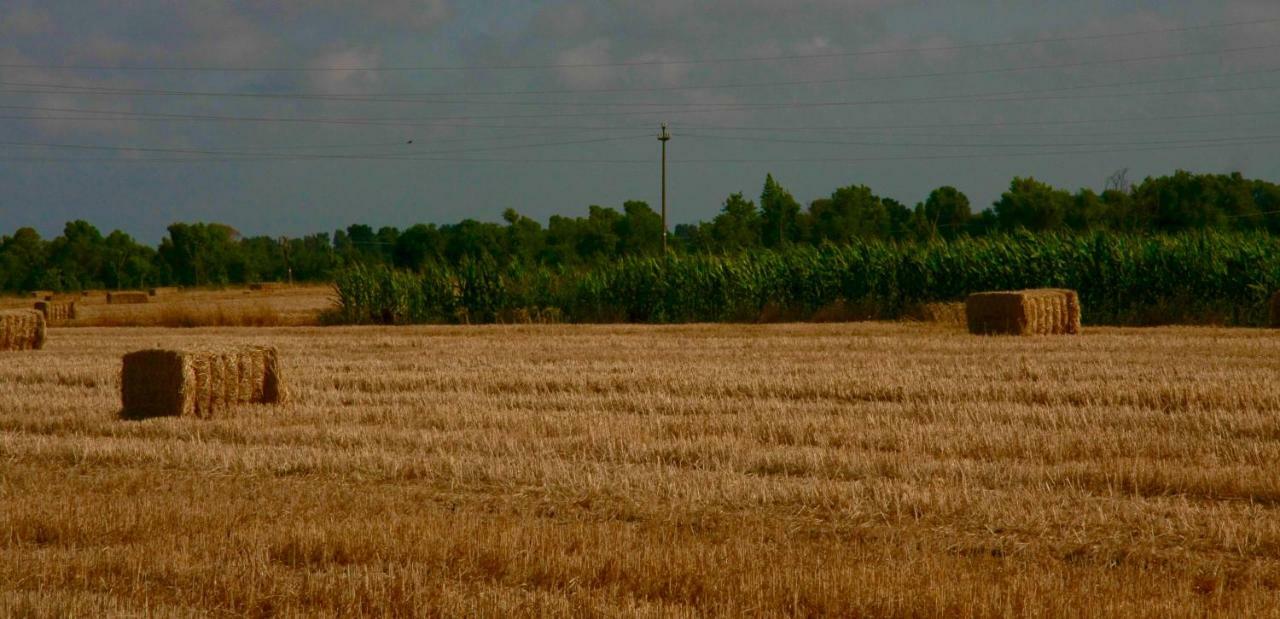 Il Silos Maccarese Εξωτερικό φωτογραφία